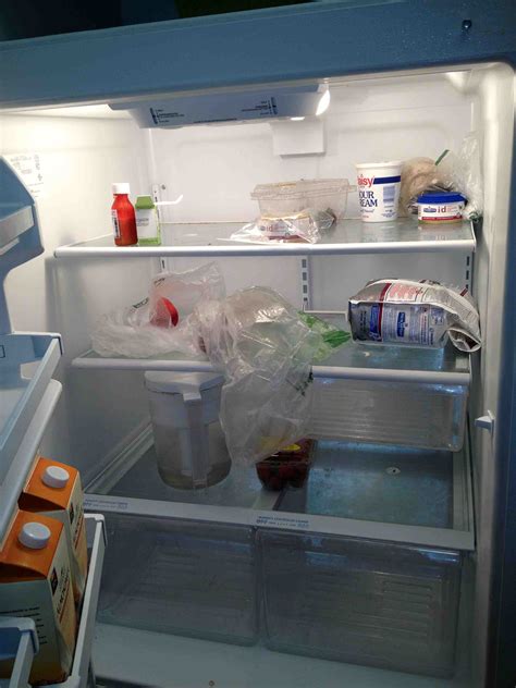 dating fridge